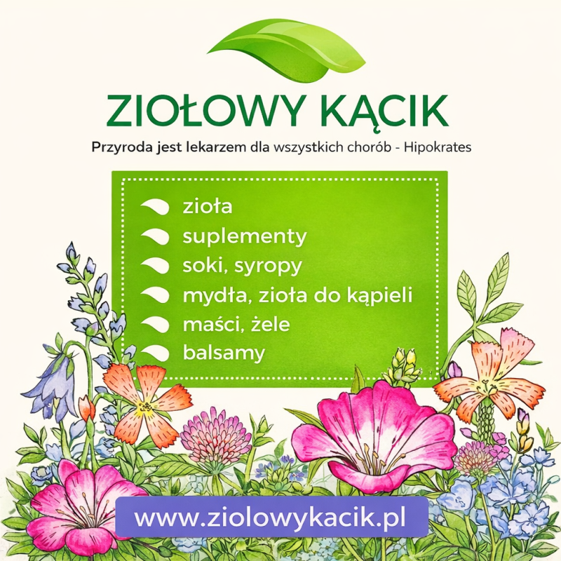 ZIOŁOWY KĄCIK – naturalne wsparcie zdrowia z Polski