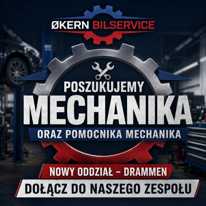 MECHANIK SAMOCHODOWY / POMOCNIK MECHANIKA