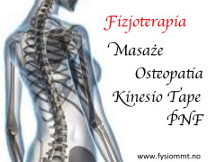Fizjoterapia i Osteopatia -Oslo i Akershus