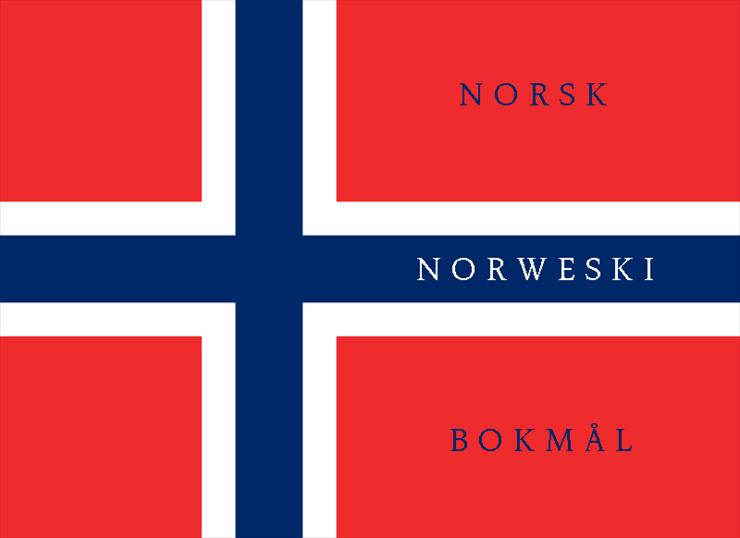 Chcesz mówić po norwesku ? Vil du snakke norsk?