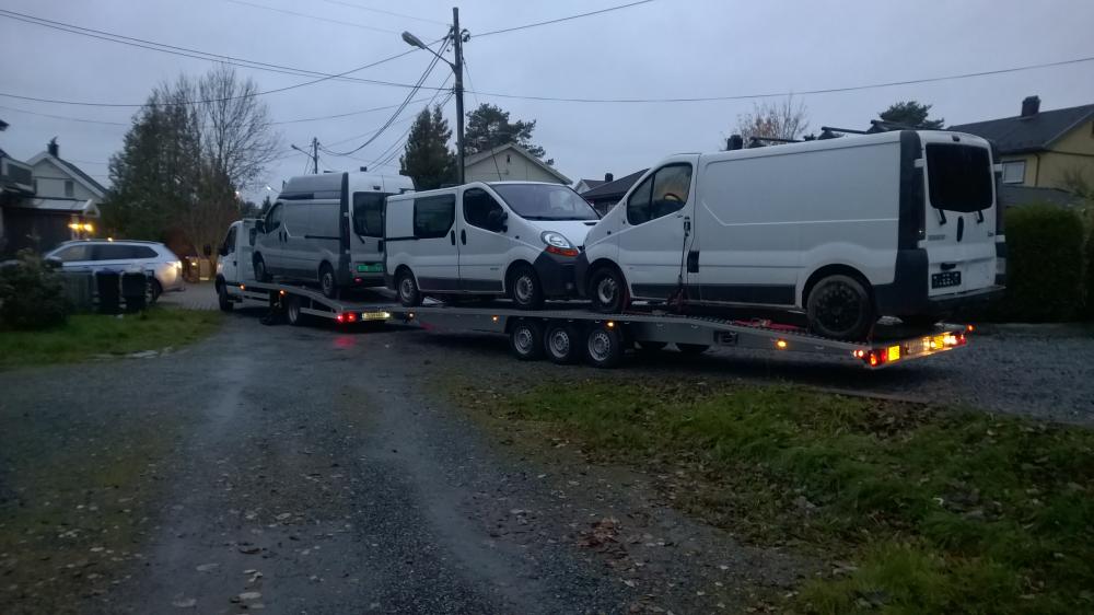 anonse towarzyskie norwegia realescort norge anonse towarzyskie norwegia realescort norge