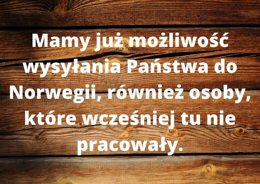 cieśla konstrukcyjny / stolarz budowlany