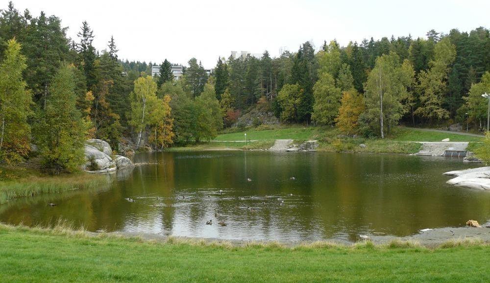 Pokój Oslo, Romsås (koło Grorud) od zaraz!