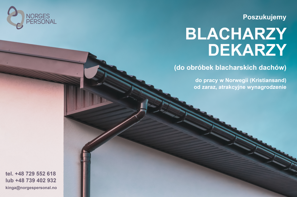 Blacharz dekarz / blacharz budowlany / Blikkenslager
